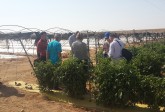 Drip and Sprinkler Irrigation – Practice and Research for UNDP Turkmenistan, October