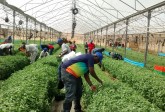 Agricultural Training Programme, for ITF, Nigeria, March