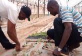 Agricultural Training Programme, for ITF, Nigeria, March