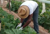 Agricultural Training Programme, for ITF, Nigeria, March