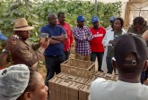 Agricultural Training Programme, for ITF, Nigeria, March