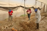 Agricultural Training Programme, for ITF, Nigeria, March