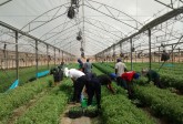 Agricultural Training Programme, for ITF, Nigeria, March