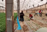 Agricultural Training Programme, for ITF, Nigeria, March