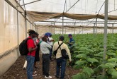 Irrigation Technologies Programme with the World Bank for Ministry of Agriculture and Food Security, Lesotho, May