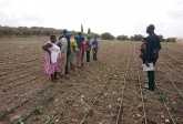 Horticulture and Irrigation Management Programme for Uganda, October