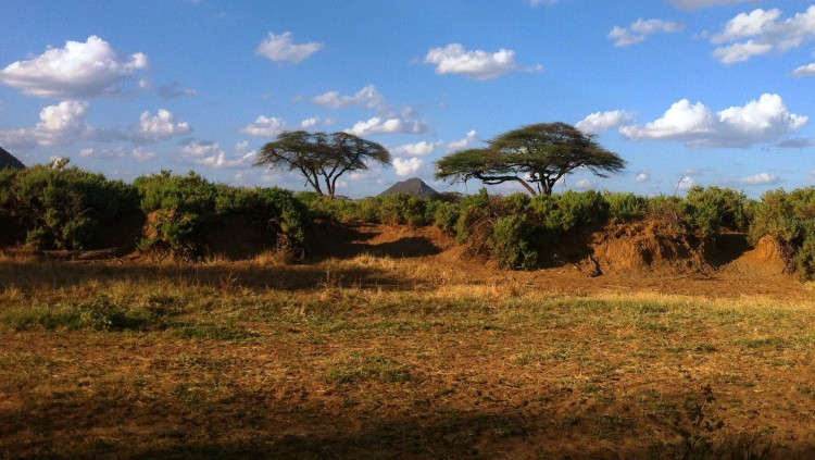 GIMI in Kenya