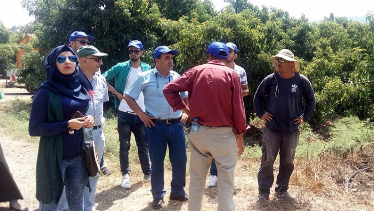 Palestinian-Israeli Cooperation on Avocado Cultivation at Galilee International Management Institute, Nahalal