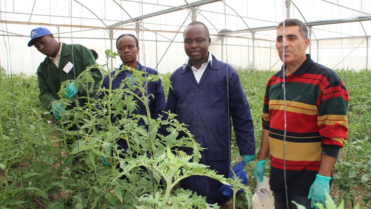 Chuka University’s Demo Farm will Advance Arid Climate Agriculture