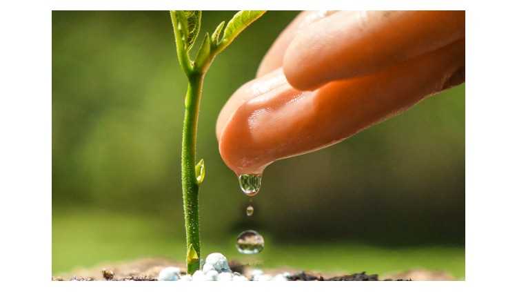 GIMI Ahora Ofrece Cursos en Línea de Agricultura y Agua