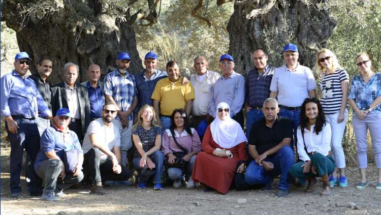 Press Release: With European Union support, the Galilee International Management Institute and the Palestinian Center for Research and Agricultural Development organized a Cross-Border Olive Picking