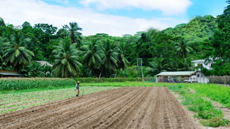 Promouvoir l'Excellence Agricole et l'Innovation aux Seychelles